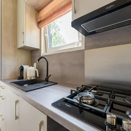Holiday home Luxury Near Ouddorp With Garden