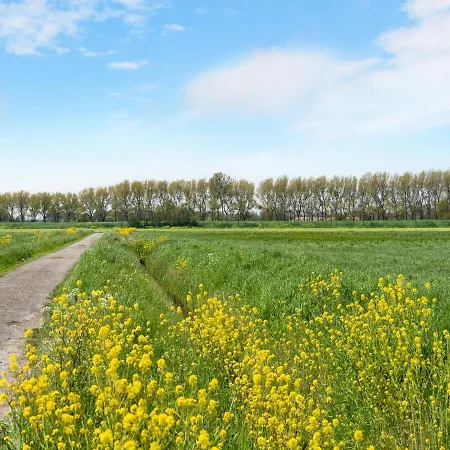 Luxury Near Ouddorp With Garden Goedereede