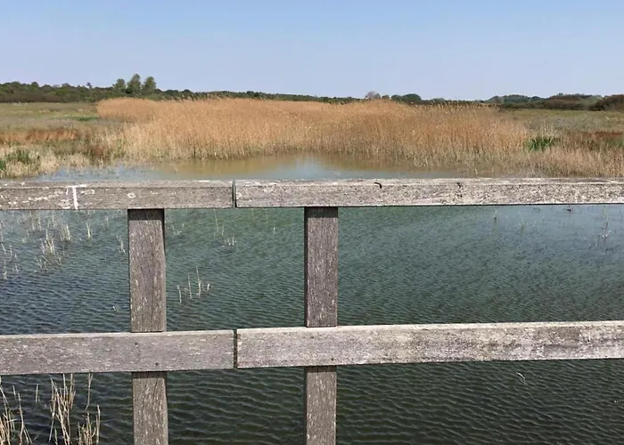 Luxury Near Ouddorp With Garden