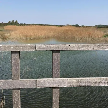 Luxury Near Ouddorp With Garden