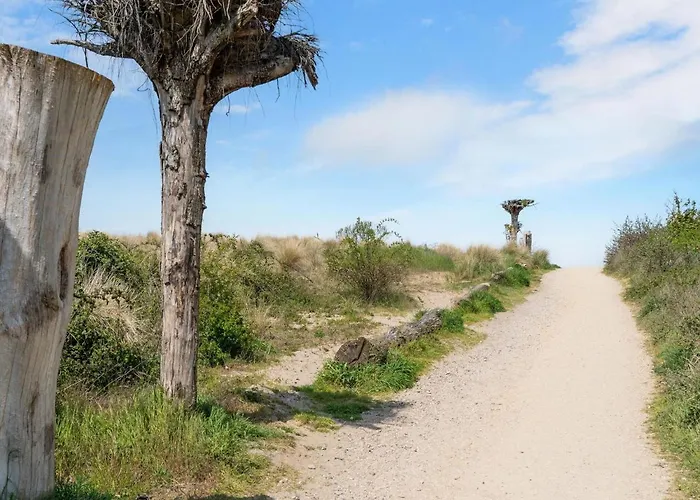 Tatil Evi Luxury Near Ouddorp With Garden *