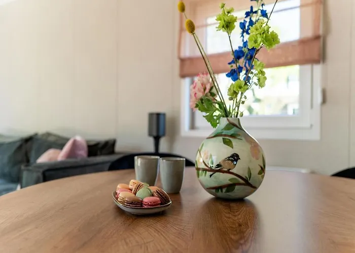 Luxury Near Ouddorp With Garden